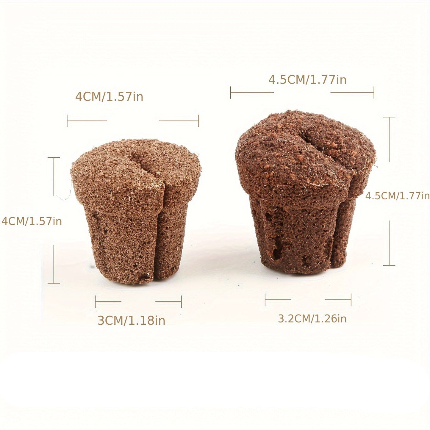 Substrato de Transplante de Orquídeas de 1,5 polegadas - Mōva Decor