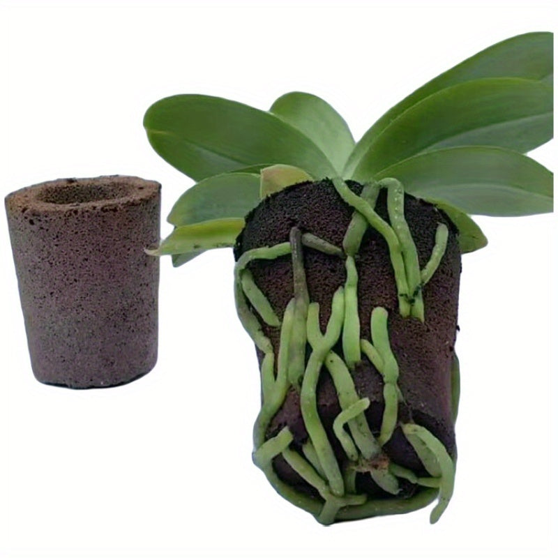 DendroMix Natural™ – Para Replante e Floração Intensa