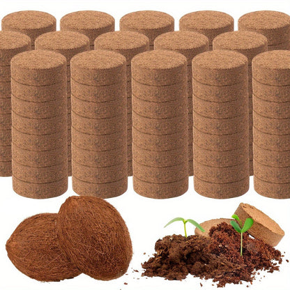 Cubos de Fibra Comprimida com Diâmetro 1,4 Polegadas - Mōva Decor