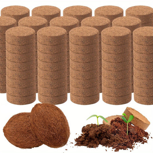 Cubos de Fibra Comprimida com Diâmetro 1,4 Polegadas - Mōva Decor