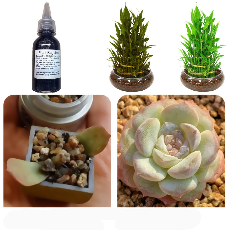 NaturalGrow™ - Melhora a Distribuição de Oxigênio, Água & Nutrientes - Mōva Decor