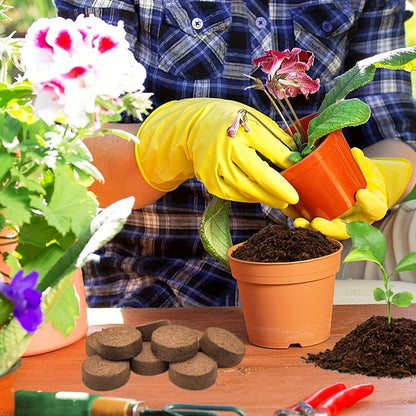 Cubos de Fibra Comprimida com Diâmetro 1,4 Polegadas - Mōva Decor