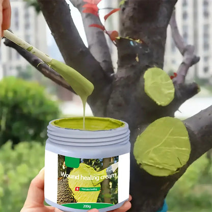 Compre 2 LEVE 3 Potes - Creme de Cura de Feridas de Plantas - Mōva Decor