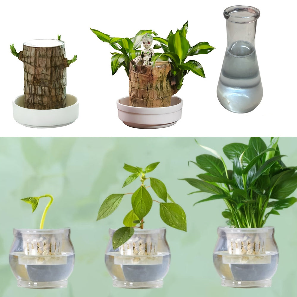 NaturalGrow™ - Melhora a Distribuição de Oxigênio, Água & Nutrientes - Mōva Decor — detalhe do acabamento | Mova Decor