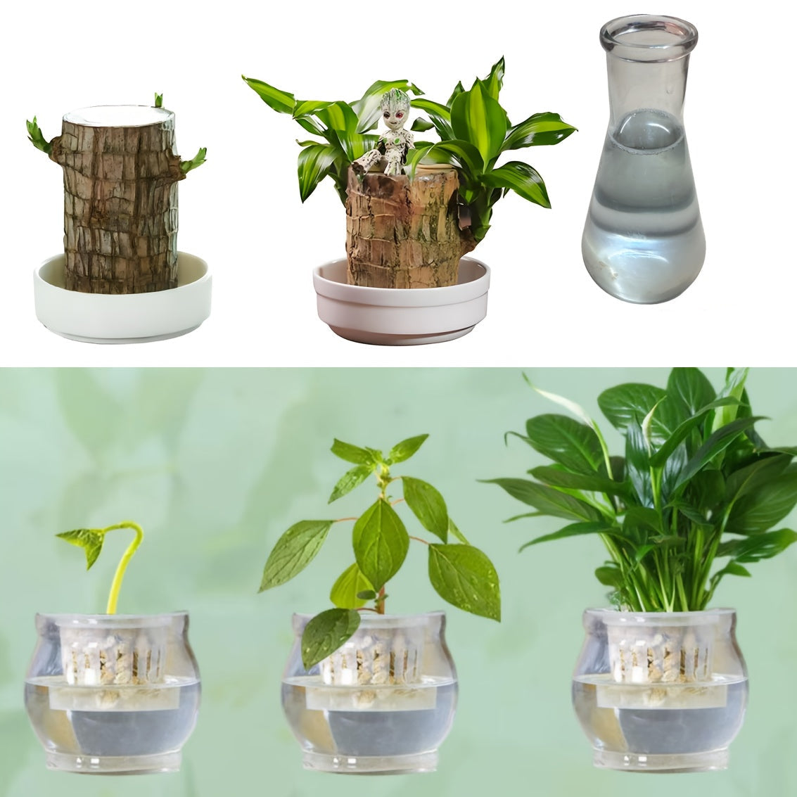 NaturalGrow™ - Melhora a Distribuição de Oxigênio, Água & Nutrientes - Mōva Decor