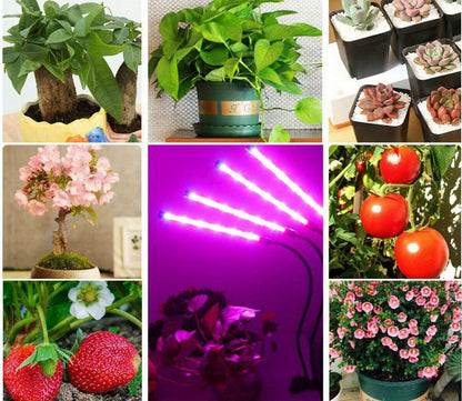 Lâmpada de Crescimento Direcional - Mōva Decor