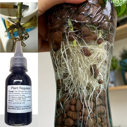 NaturalGrow™ - Melhora a Distribuição de Oxigênio, Água & Nutrientes - Mōva Decor