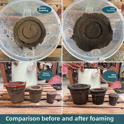 DendroMix Natural™ – Para Replante e Floração Intensa