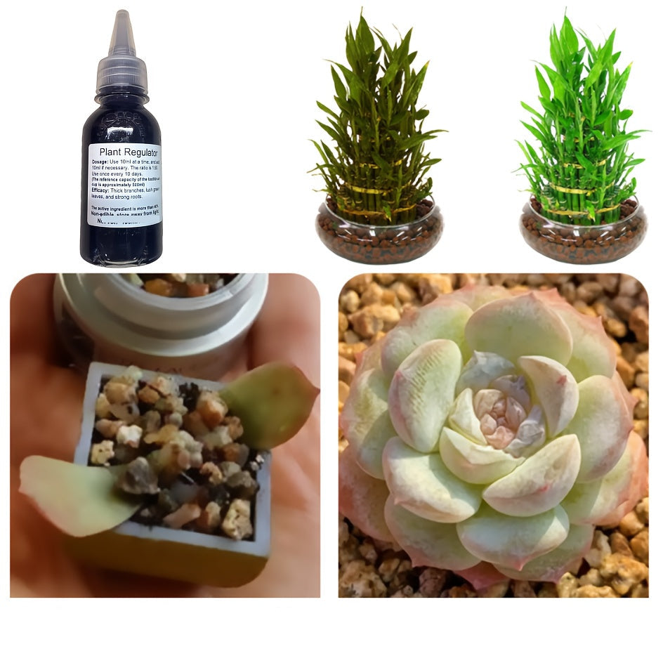 NaturalGrow™ - Melhora a Distribuição de Oxigênio, Água & Nutrientes - Mōva Decor