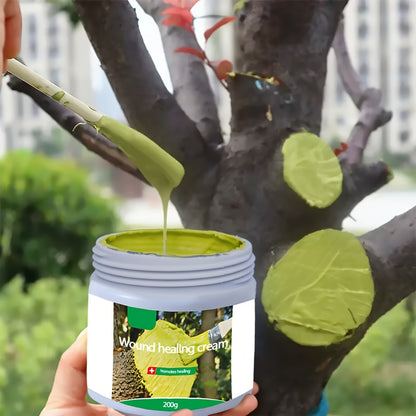 Compre 2 LEVE 3 Potes - Creme de Cura de Feridas de Plantas - Mōva Decor