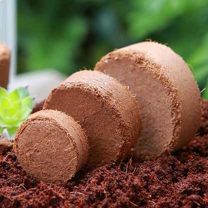 Cubos de Fibra Comprimida com Diâmetro 1,4 Polegadas - Mōva Decor