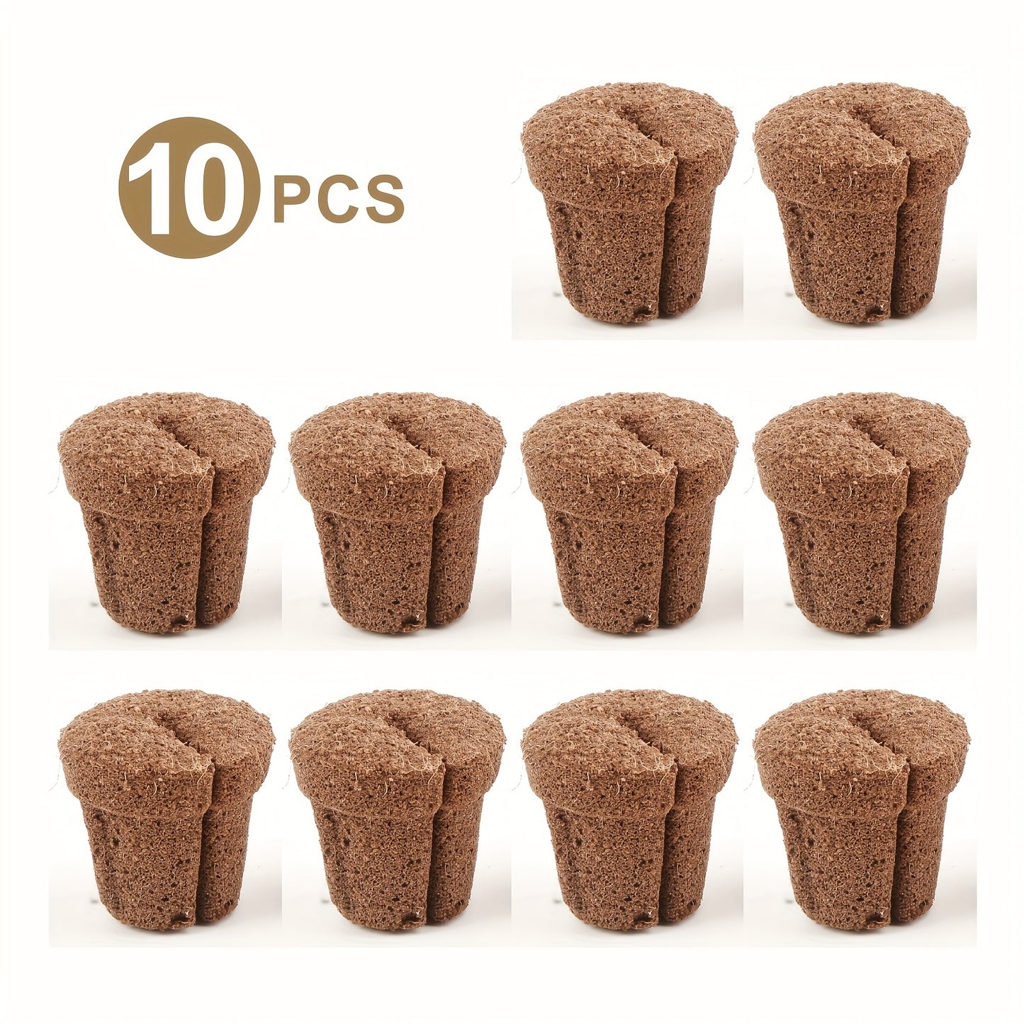 Substrato de Transplante de Orquídeas de 1,5 polegadas - Mōva Decor