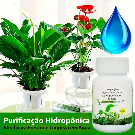 Purificação Hidropônica, Ideal para Frescor e Limpeza em Água - Mōva Decor