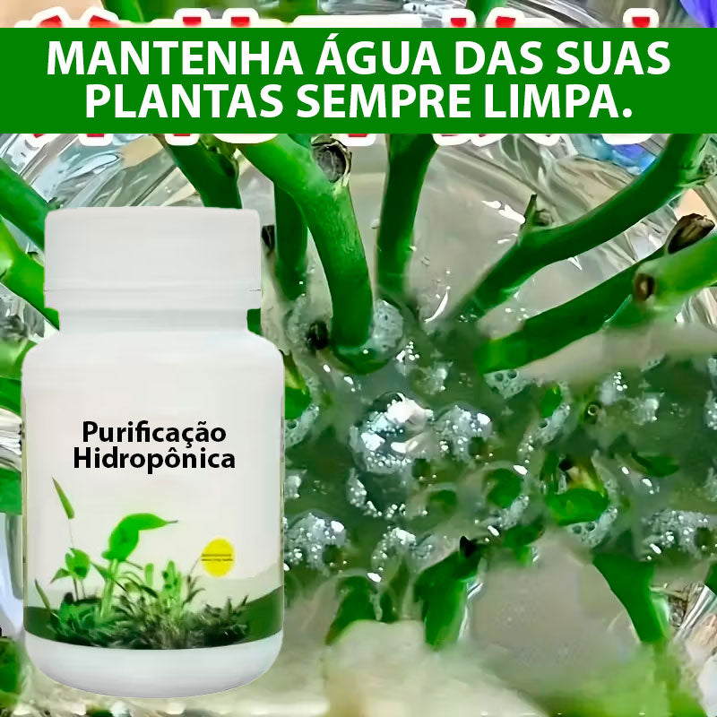 Purificação Hidropônica, Ideal para Frescor e Limpeza em Água - Mōva Decor — detalhe do acabamento | Mova Decor