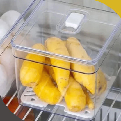 FreshBox Trio — Kit Organizador de Geladeira com Cesto